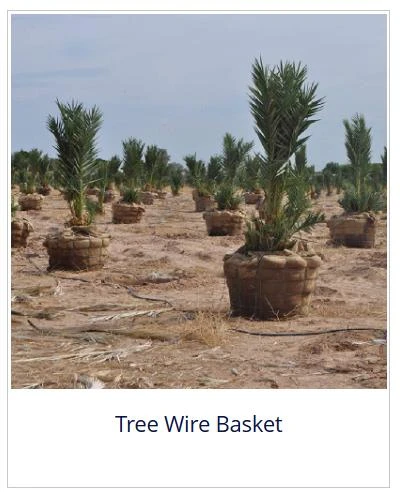 soft garden wire