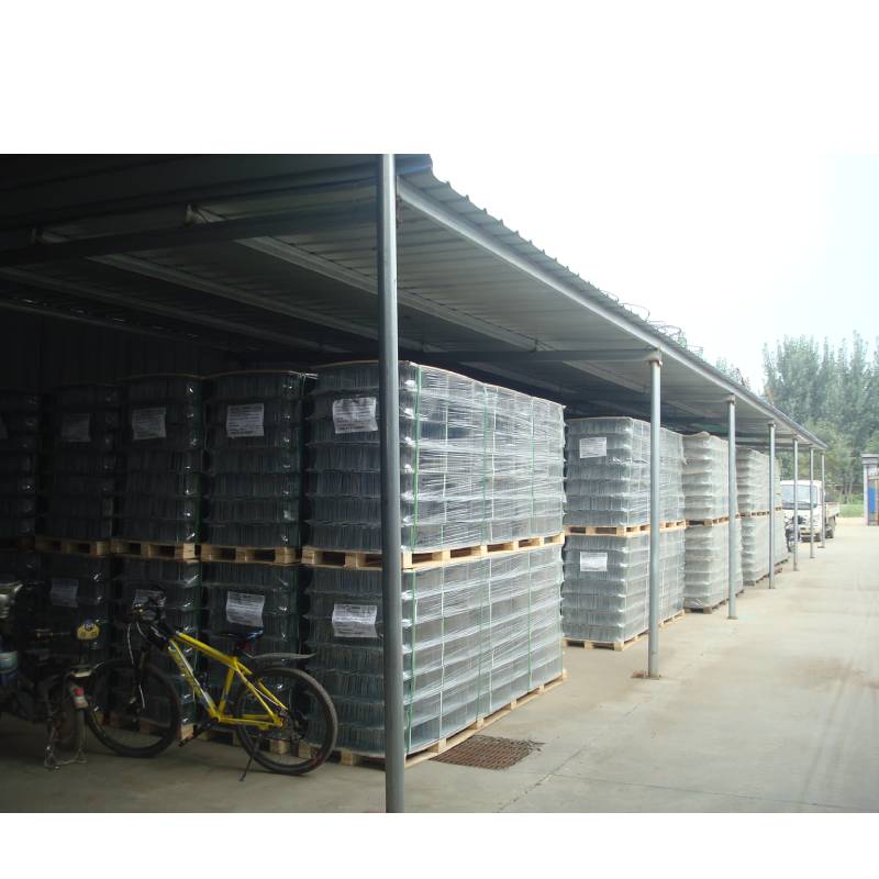 Extension Springs