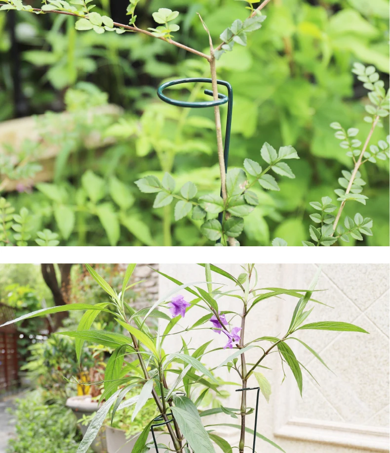 connolly dowel cradle