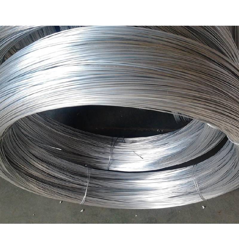 flat coil torsion spring